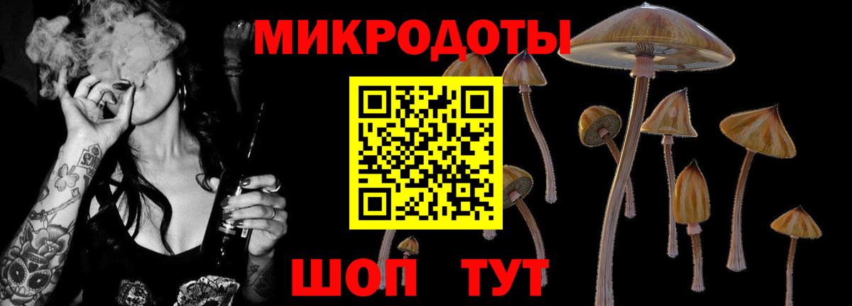 Псилоцибиновые грибы Psilocybine cubensis  Вход с VPN  Россия 